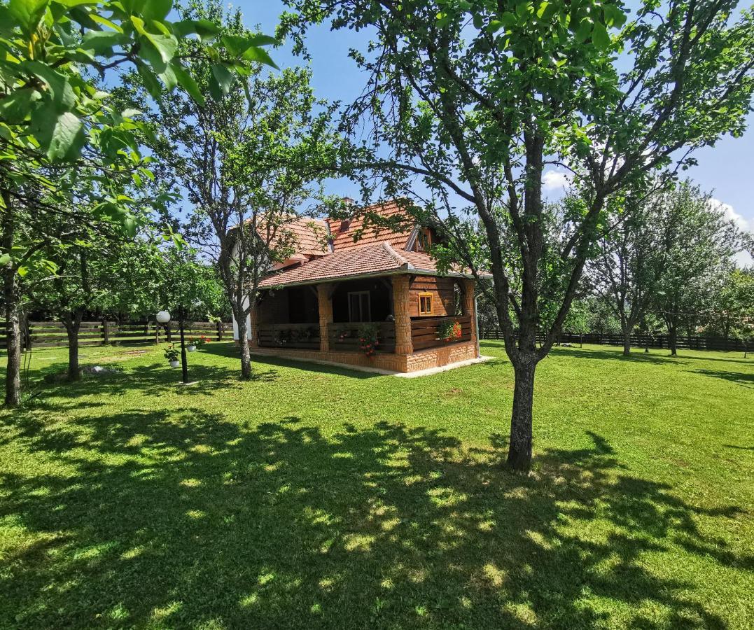 Apartamento Seosko Domacinstvo Bondzulic Užice Exterior foto